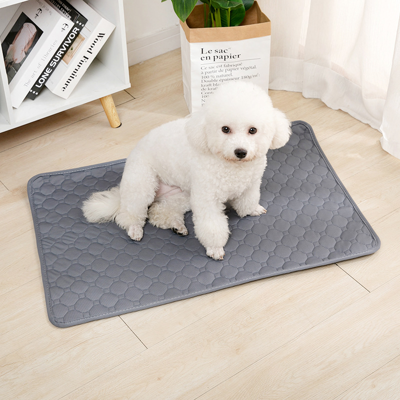 แผ่นรองซับฉี่สุนัขแบบใช้ซ้ำได้ - Carriage Bed บทวิจารณ์และราคา